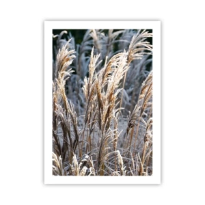 Affiche - Poster - Herbes séchées couvertes de givre dans un paysage hivernal - 50x70cm - Habillé de givre - Décoration murale moderne pour le salon et la chambre ARTTOR