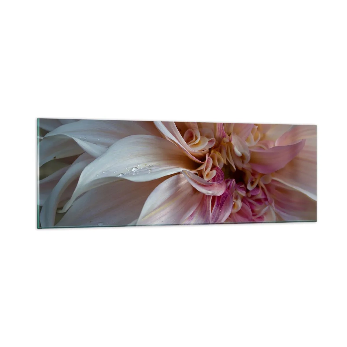 Impression sur verre - Image sur verre - Fraîcheur fleurissante - 90x30 cm
