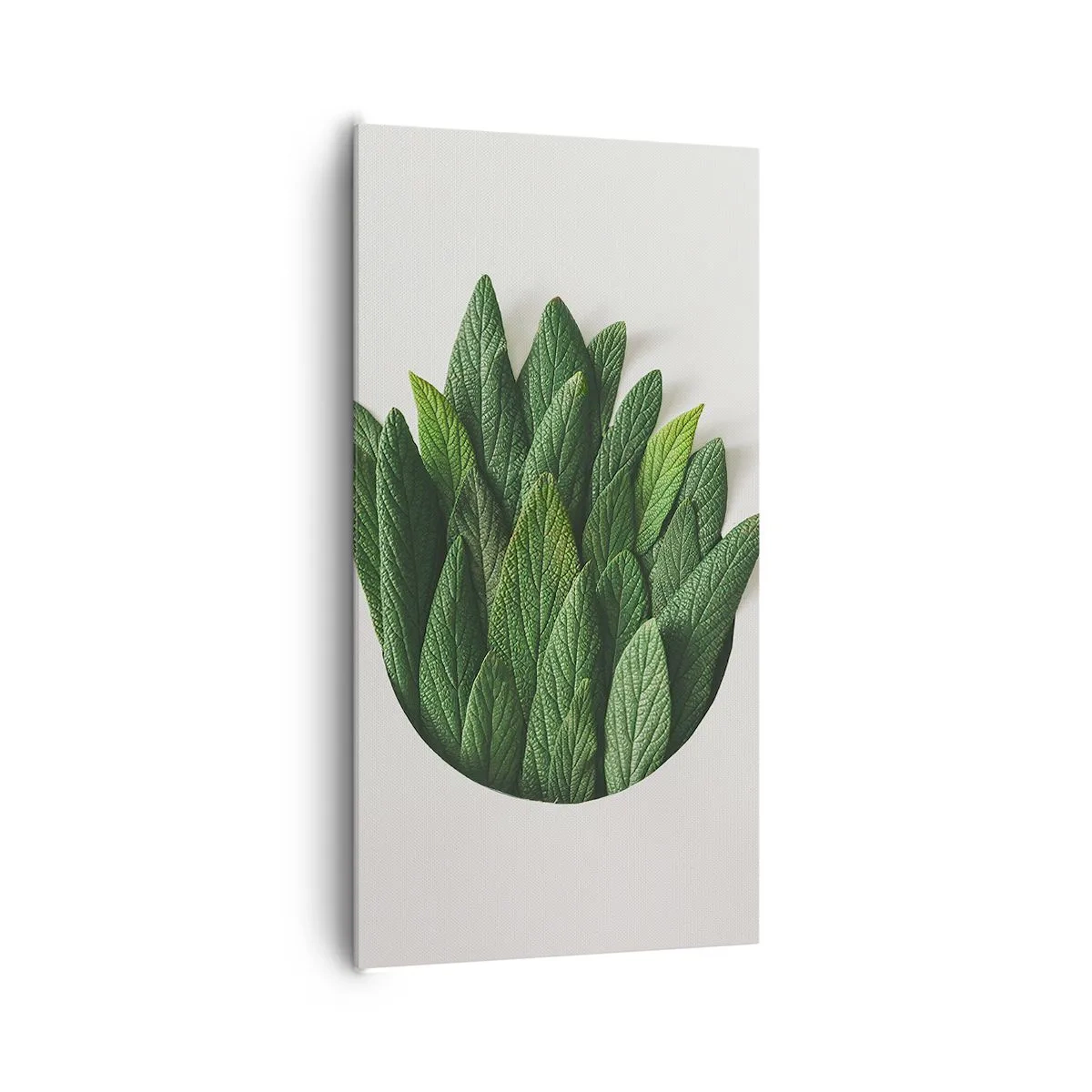 Impression sur toile - Image sur toile - Curiosité sans retenue - 65x120 cm