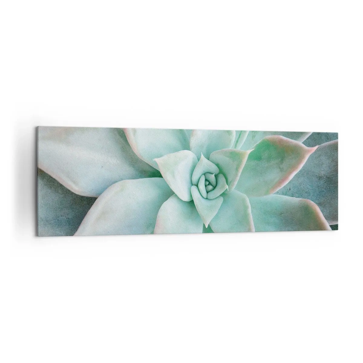 Impression sur toile - Image sur toile - Gros plan d'une succulente verte - 160x50cm - Le coeur du désert - Décoration murale moderne pour le salon et la chambre ARTTOR