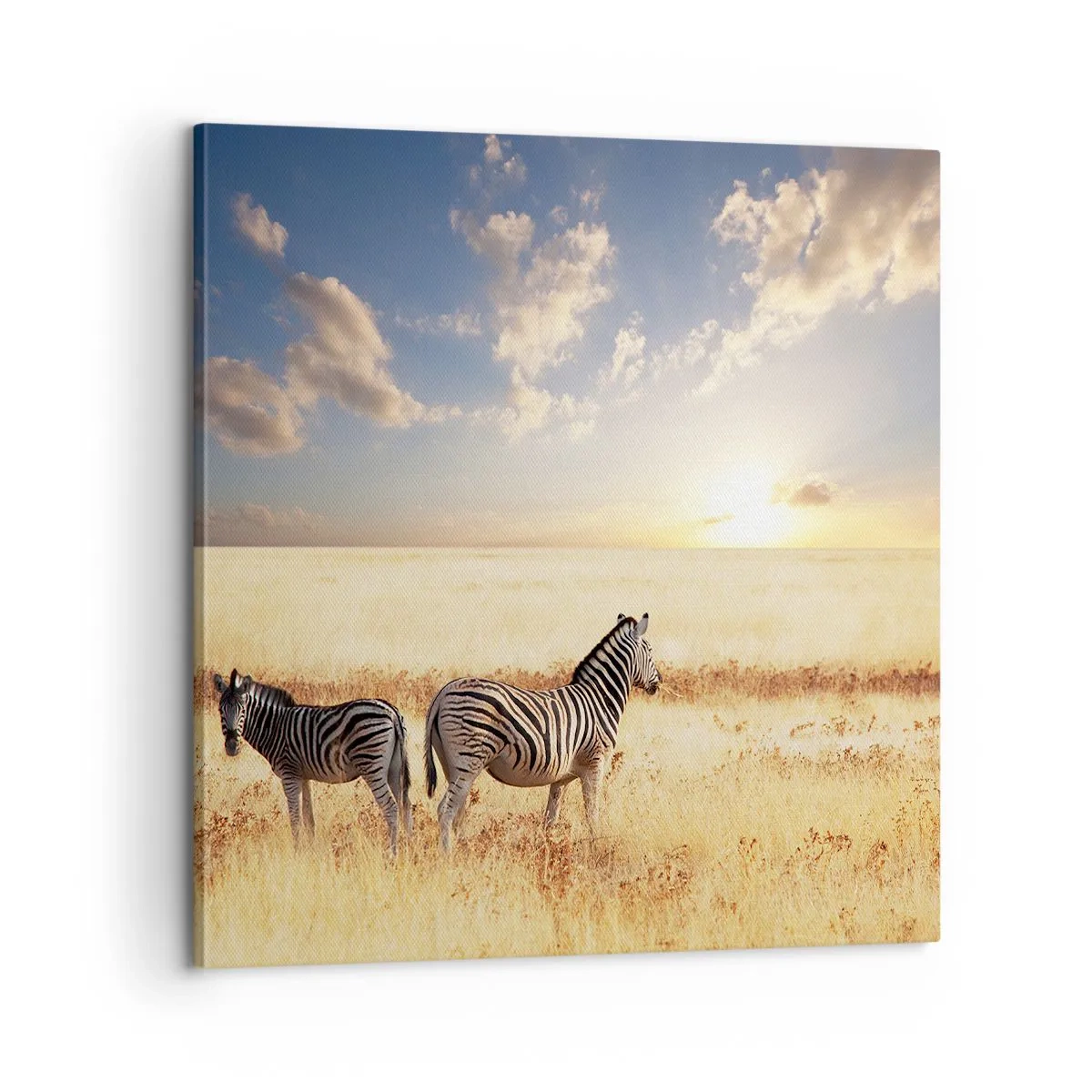 Impression sur toile - Image sur toile - Va-t'en, n'ai pas de paix - 60x60 cm