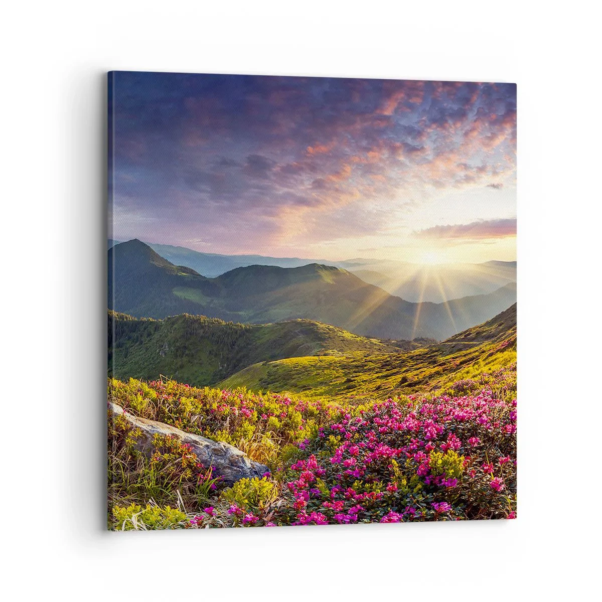 Impression sur toile - Image sur toile - Fraîcheur matinale en montagne - 70x70 cm