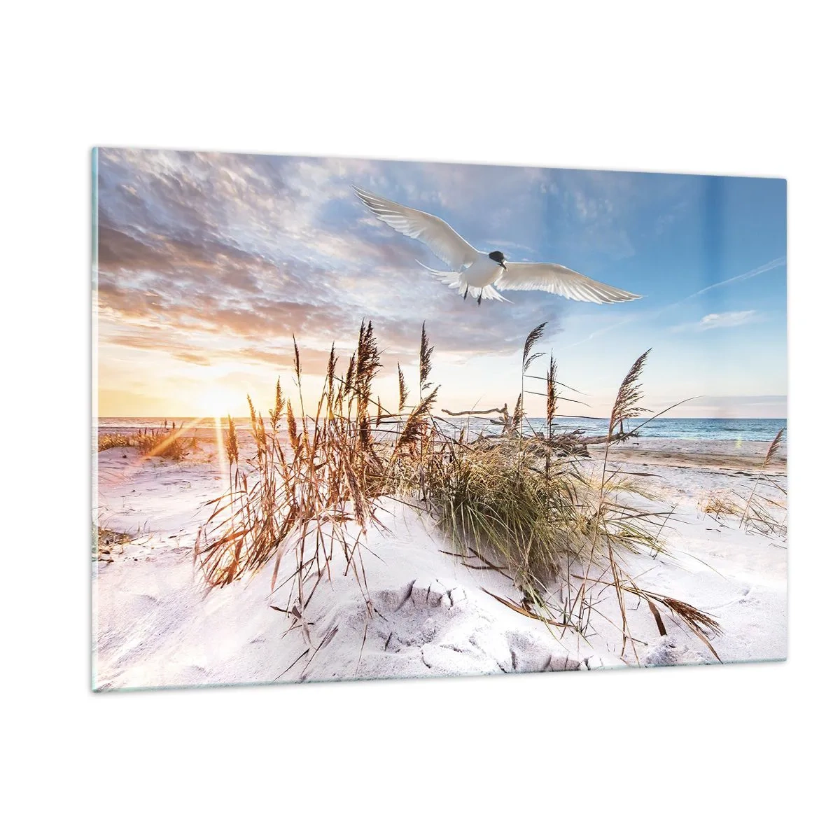 Impression sur verre - Image sur verre - Un oiseau survolant les dunes au coucher du soleil - 120x80cm - Vent de mer - Décoration murale moderne pour le salon et la chambre ARTTOR