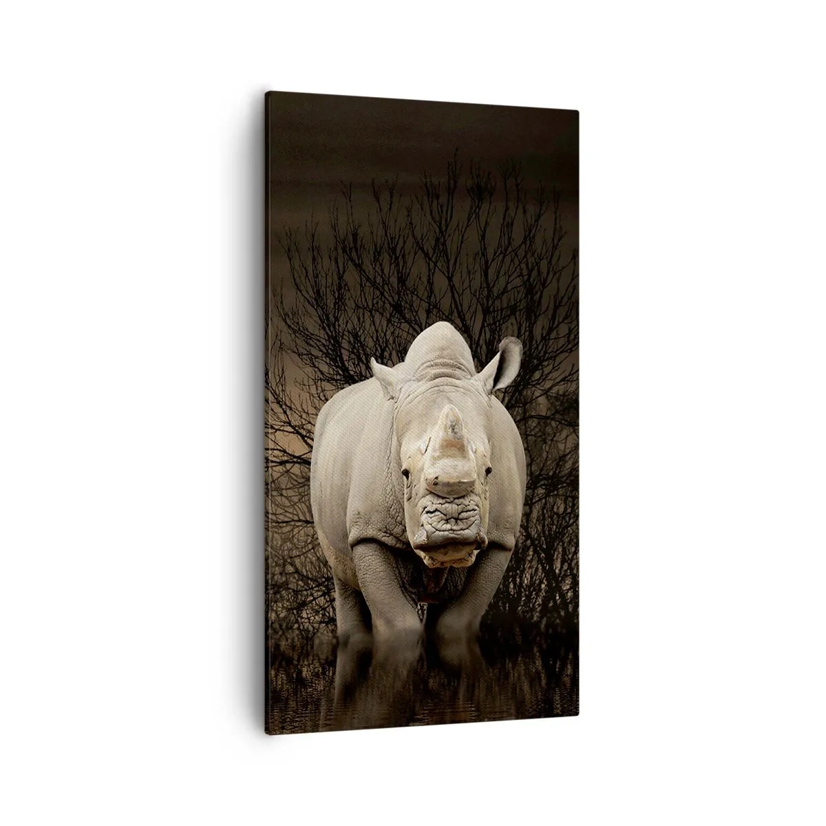 Impression sur toile - Image sur toile - Blanc contre nature - 55x100 cm