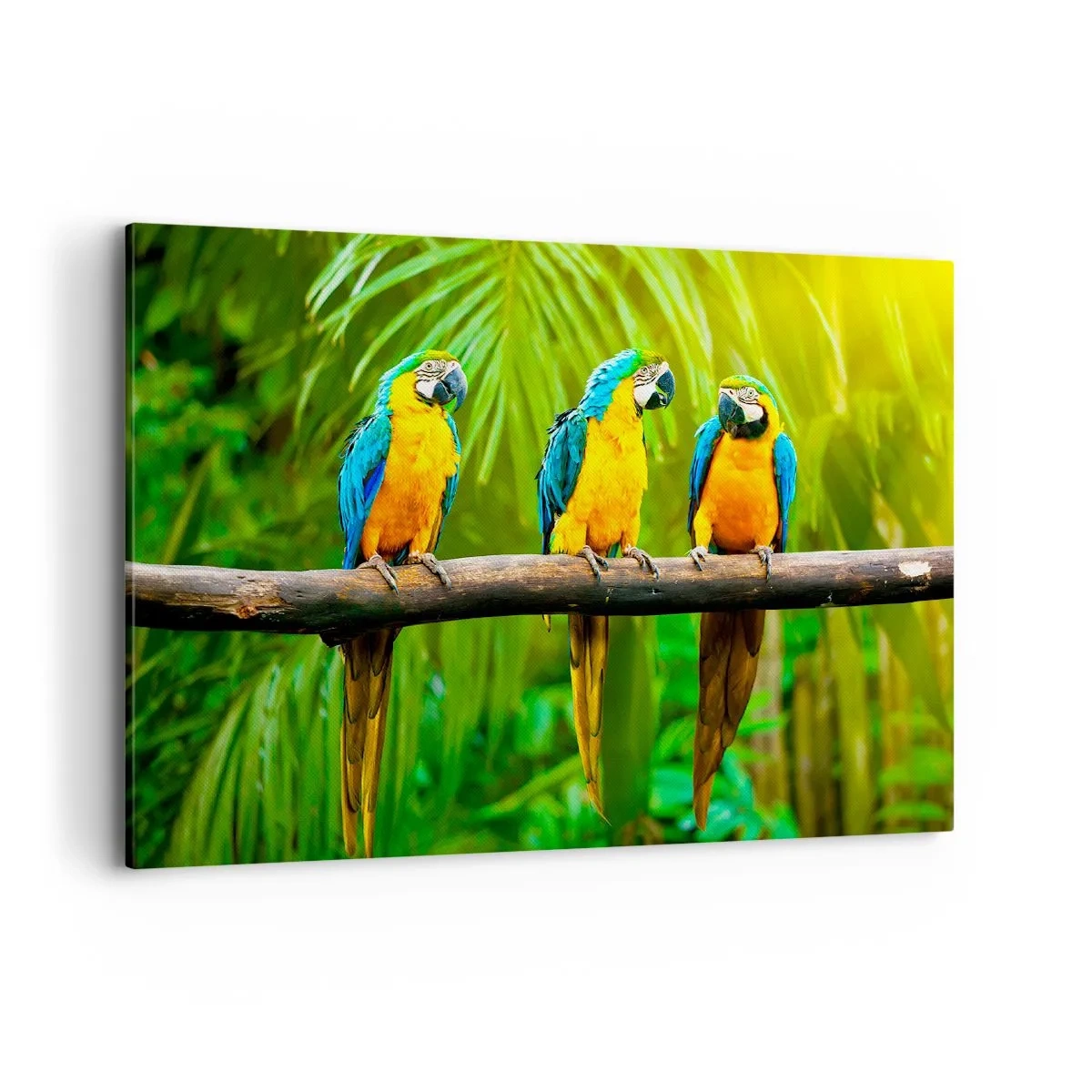 Impression sur toile - Image sur toile - Trois perroquets colorés sur fond de verdure tropicale - 100x70cm - Et avez-vous entendu qu'elle ...? - Décoration murale moderne pour le salon et la chambre ARTTOR