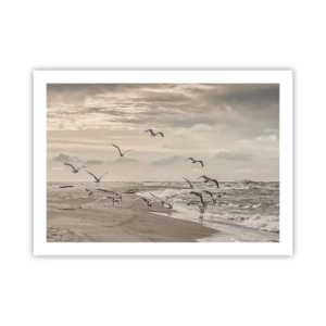 Affiche - Poster - Le bruit de la mer, le chant des oiseaux - 70x50 cm