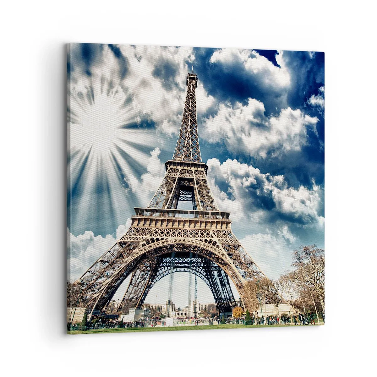 Impression sur toile - Image sur toile - La seule et unique sous le soleil - 60x60 cm