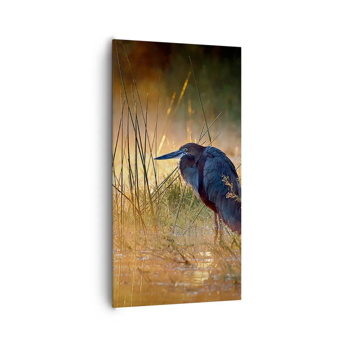 Impression sur toile - Image sur toile - Allez, laissez-moi en paix avec ces photos - 65x120 cm