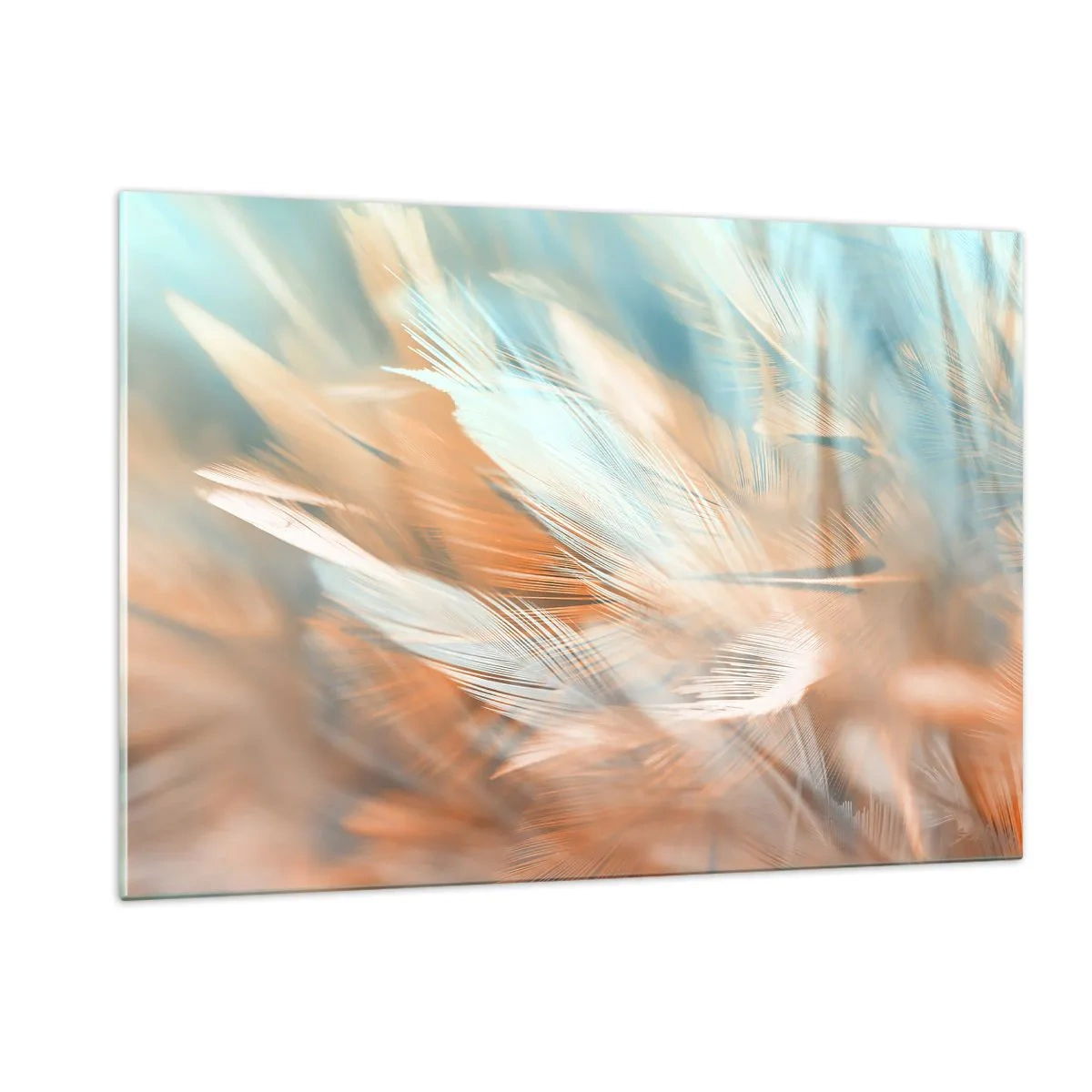 Impression sur verre - Image sur verre - Plumes délicates dans des tons pastel turquoise et pêche - 120x80cm - Au pays de la douceur - Décoration murale moderne pour le salon et la chambre ARTTOR