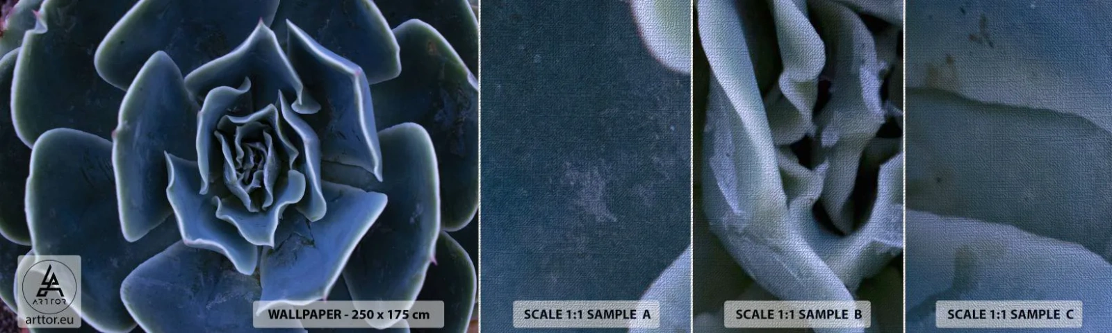 Échantillon de Papier Peint Premium Canvas - Fleur du désert - Fleur d'agave, Fleur, Nature - 100x30 cm