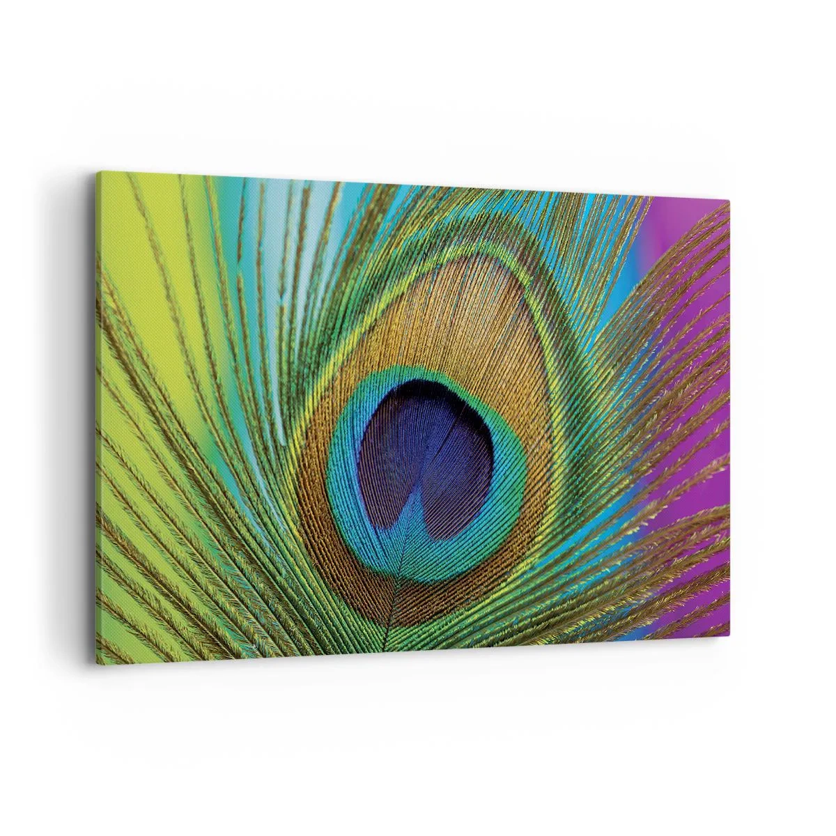 Impression sur toile - Image sur toile - Gros plan d'une plume de paon aux couleurs vives - 120x80cm - Les yeux dans les yeux - Décoration murale moderne pour le salon et la chambre ARTTOR
