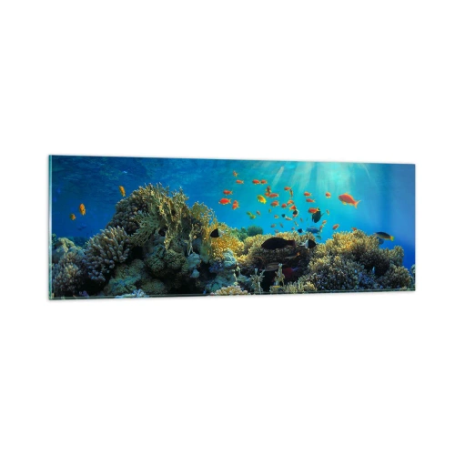 Impression sur verre - Image sur verre - Trésor sous-marin - 90x30 cm