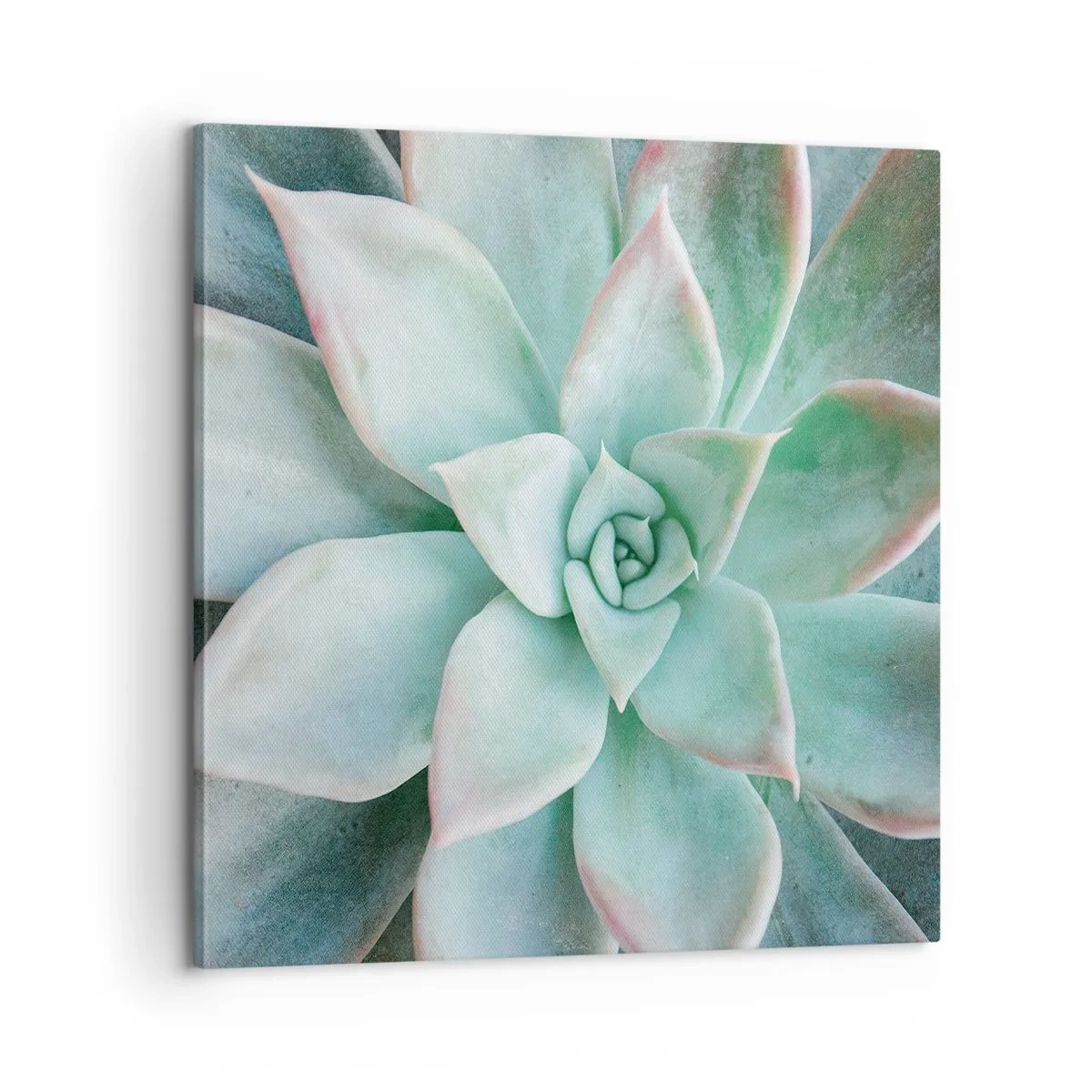 Impression sur toile - Image sur toile - Le coeur du désert - 60x60 cm