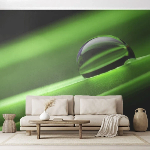 Papier Peint Photo Premium Canvas - La vie de près - Abstraction, Graphique, Une goutte d'eau - 250x175 cm