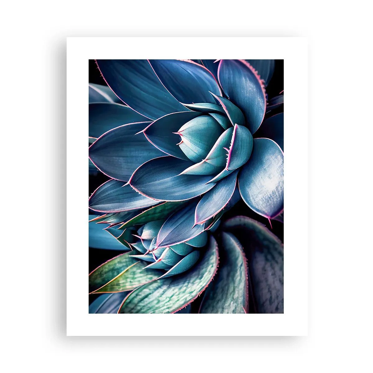 Affiche - Poster - Force vital - 40x50 cm