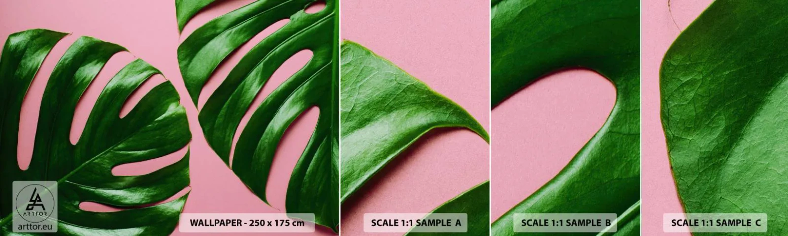 Échantillon de Papier Peint Autocollant Deluxe Sticker - Rendez-vous vert - Monstre, Feuille verte, Plante exotique - 100x30 cm