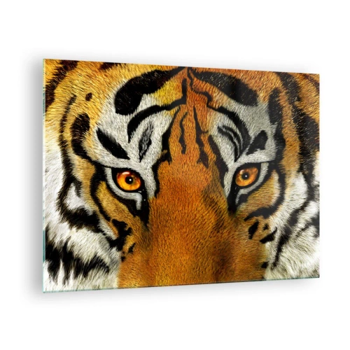 Impression sur verre - Image sur verre - Gros plan sur le regard intense du tigre - 70x50cm - Terrible et beau - Décoration murale moderne pour le salon et la chambre ARTTOR