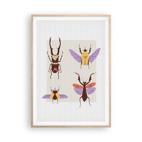 Affiche dans un chêne clair - Poster - Le monde des insectes - 70x100 cm