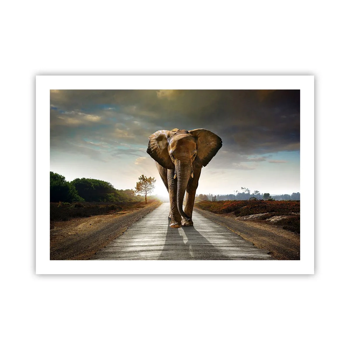 Affiche - Poster - Et pas du tout en porcelaine - 70x50 cm