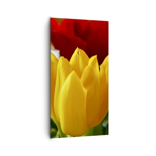 Impression sur toile - Image sur toile - La fièvre des tulipes - 65x120 cm