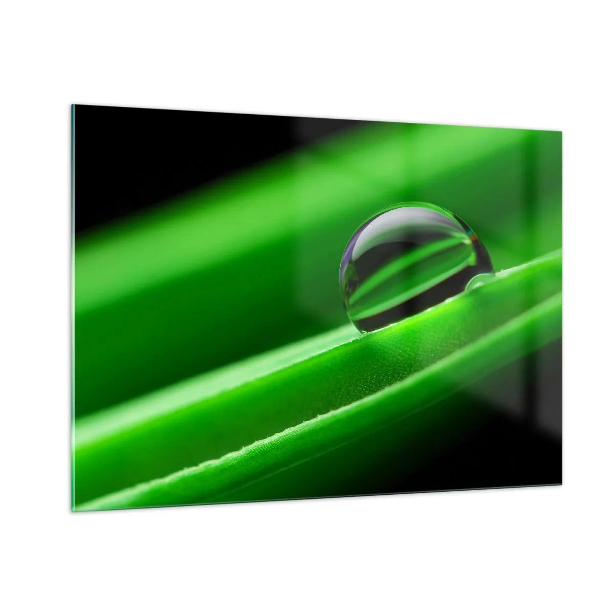 Impression sur verre - Image sur verre - Une goutte de rosée sur une feuille verte - 100x70cm - La vie de près - Décoration murale moderne pour le salon et la chambre ARTTOR