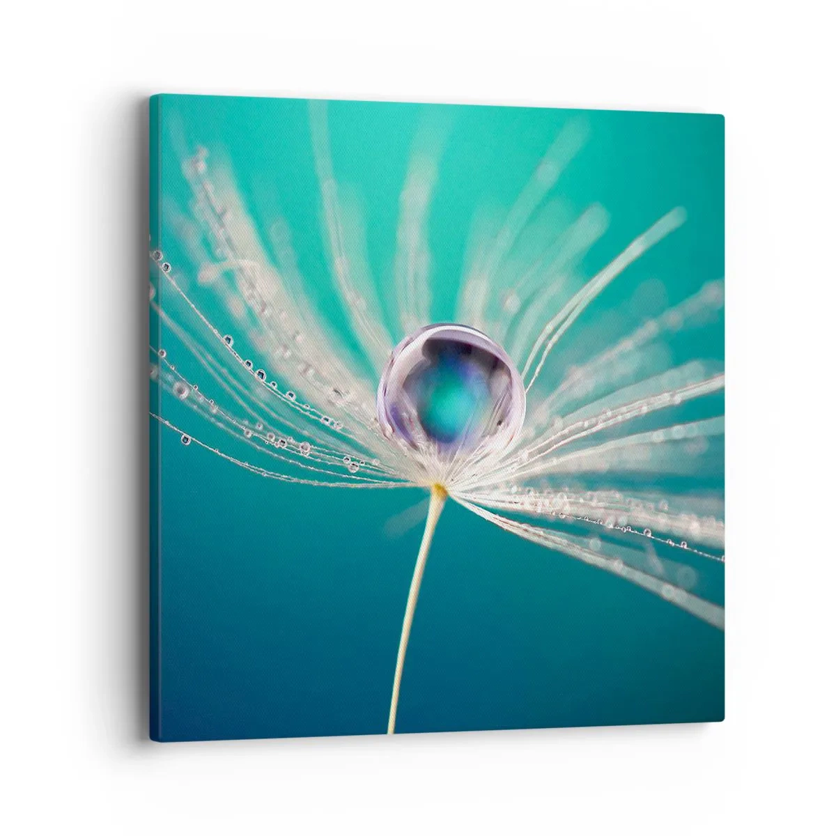 Impression sur toile - Image sur toile - Moment mystique - 40x40 cm