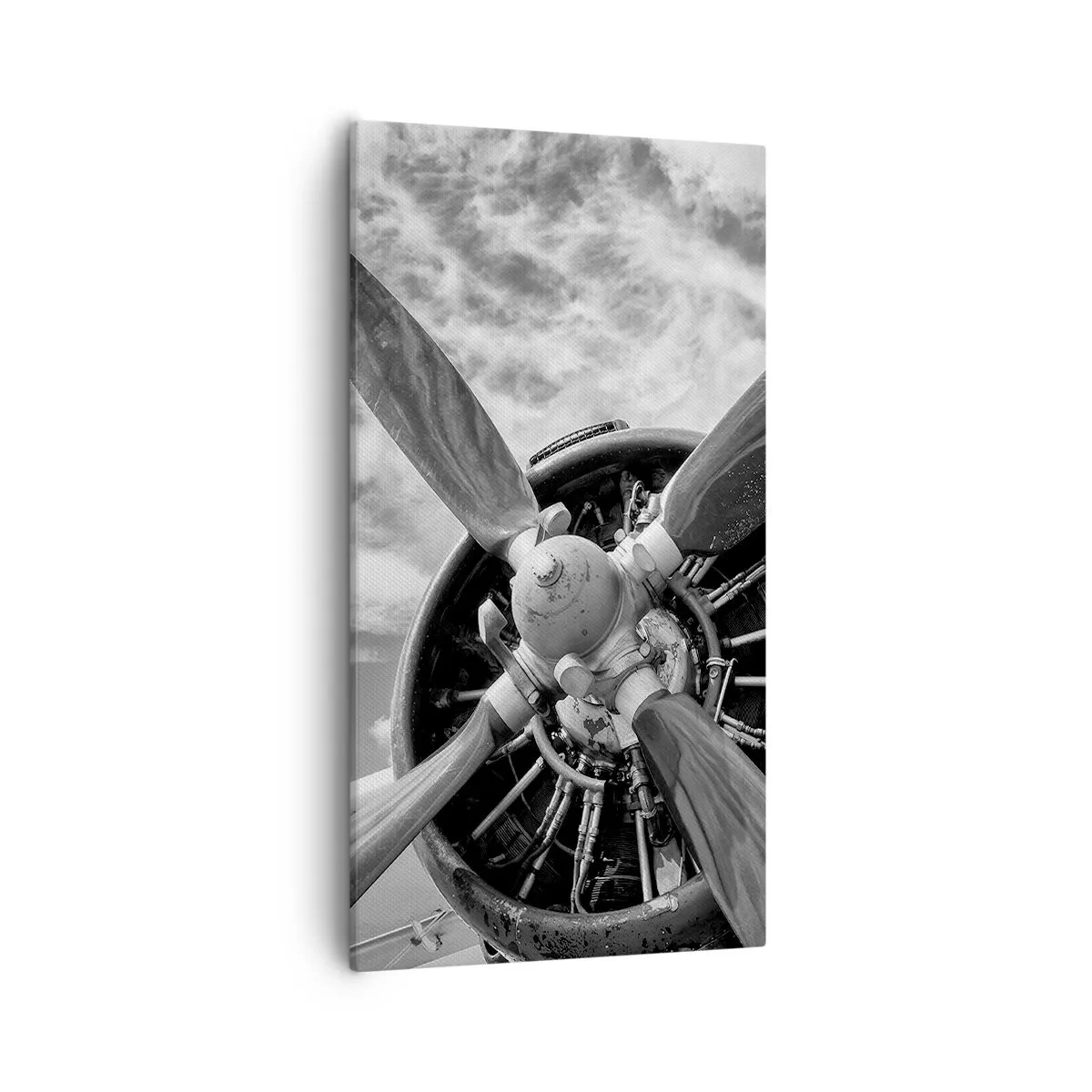 Impression sur toile - Image sur toile - Dompteur de ciel - 55x100 cm