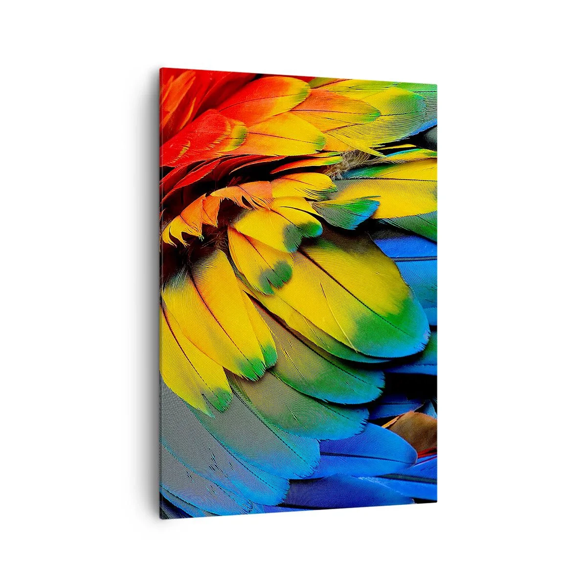 Impression sur toile - Image sur toile - Gros plan des plumes colorées d'un perroquet - 70x100cm - Oiseau de paradis - Décoration murale moderne pour le salon et la chambre ARTTOR