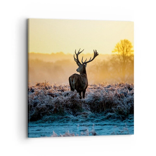 Impression sur toile - Image sur toile - Couronné pour sa succession - 70x70 cm
