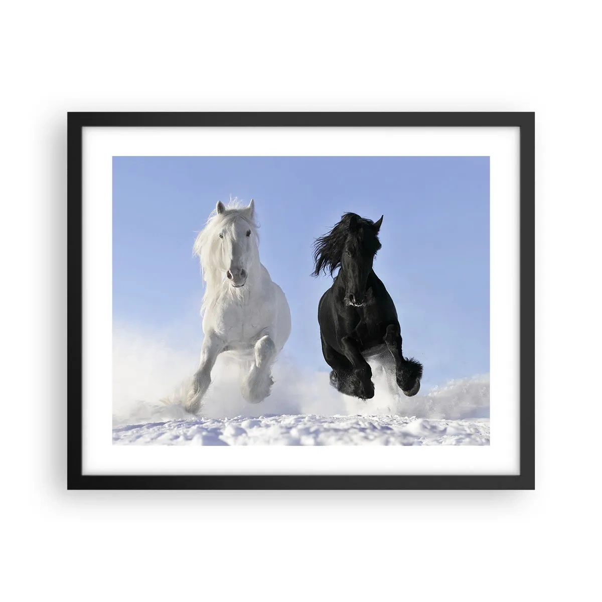 Affiche dans un cadre noir - Poster - Galop noir et blanc - 50x40 cm