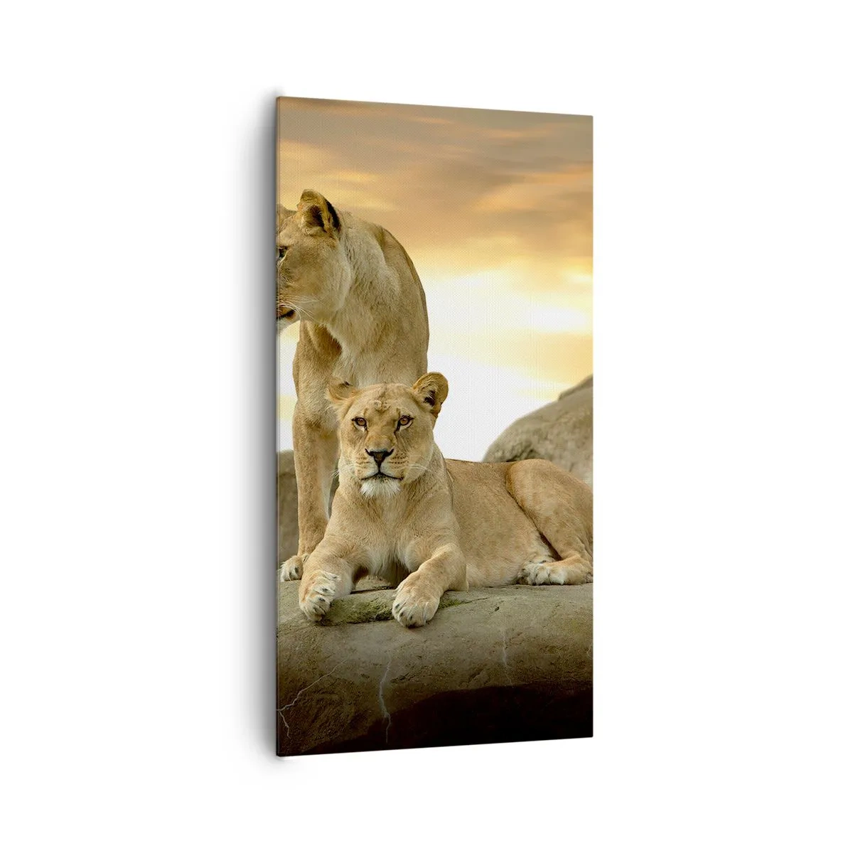 Impression sur toile - Image sur toile - Majesté royale - 65x120 cm