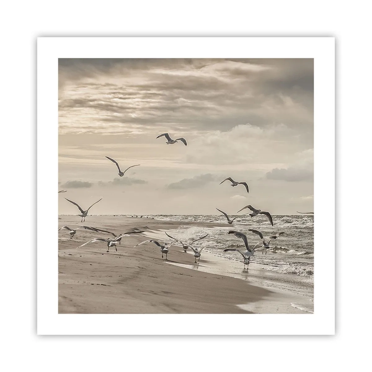 Affiche - Poster - Le bruit de la mer, le chant des oiseaux - 50x50 cm