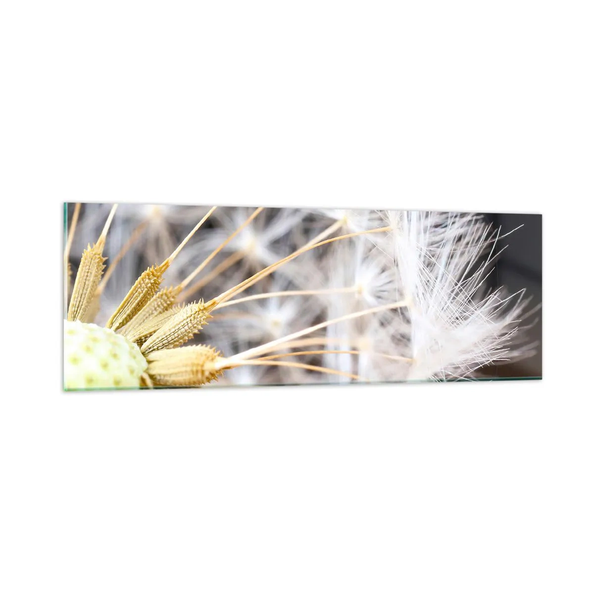 Impression sur verre - Image sur verre - Juste avant le départ - 90x30 cm