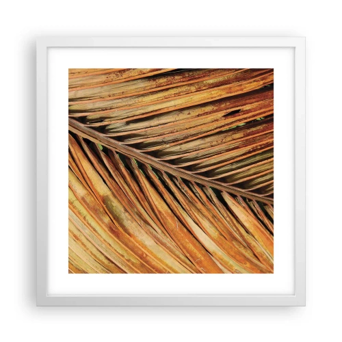 Affiche dans un cadre blanc - Poster - Or de noix de coco - 40x40 cm