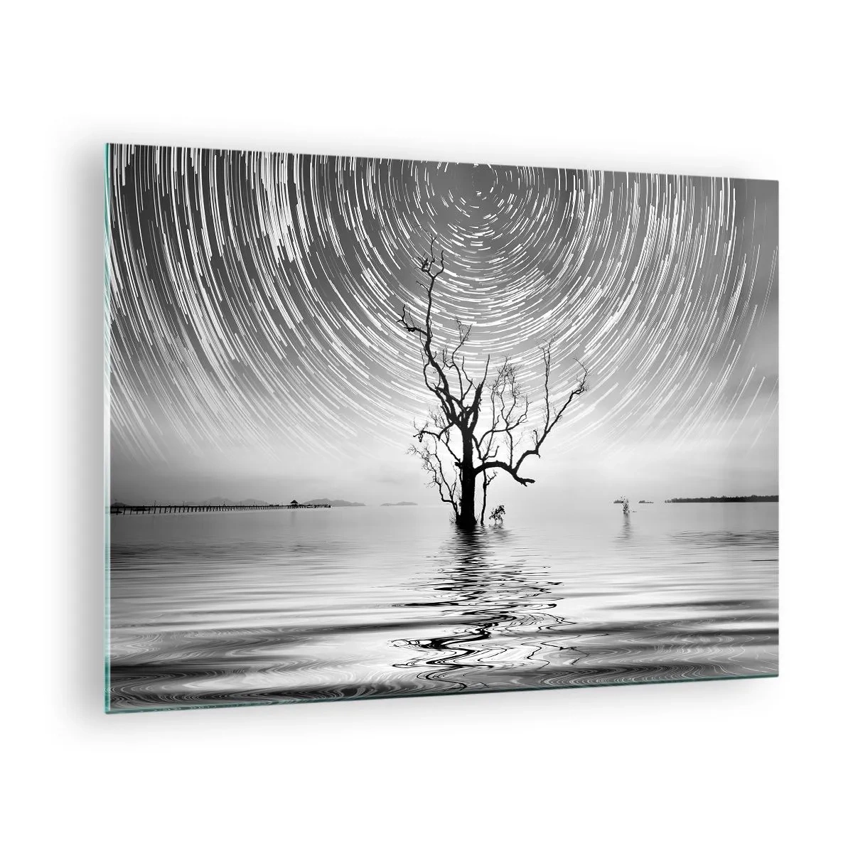 Impression sur verre - Image sur verre - Paysage noir et blanc avec un arbre et des traînées d'étoiles - 70x50cm - La symphonie de la nature - Décoration murale moderne pour le salon et la chambre ARTTOR