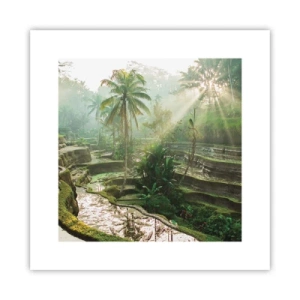 Affiche - Poster - Grandir au soleil - 30x30 cm