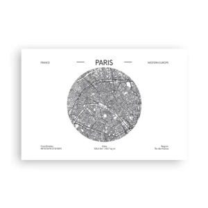 Affiche - Poster - Anatomie de Paris - 91x61 cm