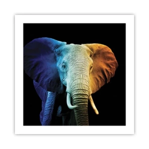 Affiche - Poster - Excentrique, pas bizarre - 50x50 cm