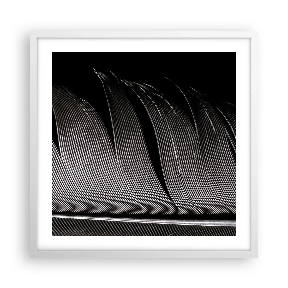 Affiche dans un cadre blanc - Poster - La plume – un design magnifique - 50x50 cm