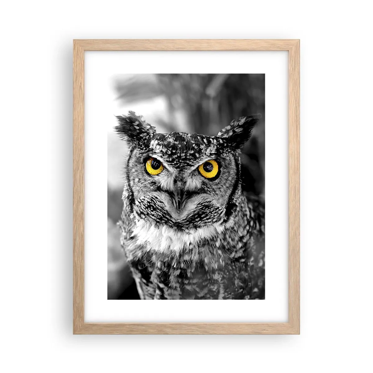 Affiche dans un chêne clair - Poster - Rien ne se cachera - 30x40 cm