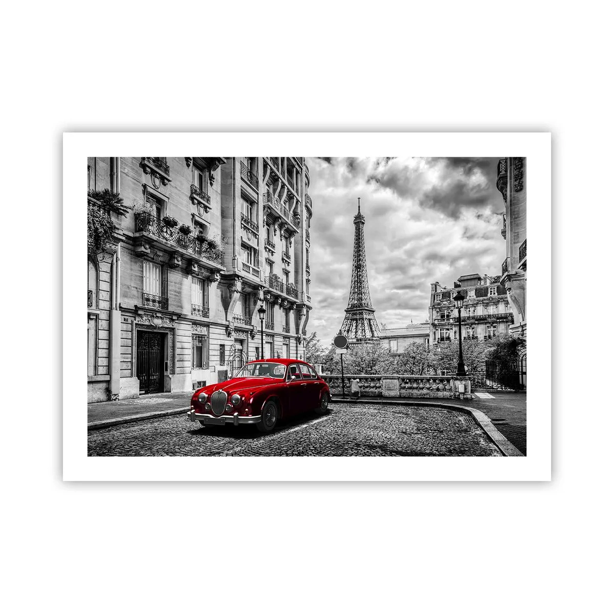 Affiche - Poster - Prédateur dans la ville - 70x50 cm