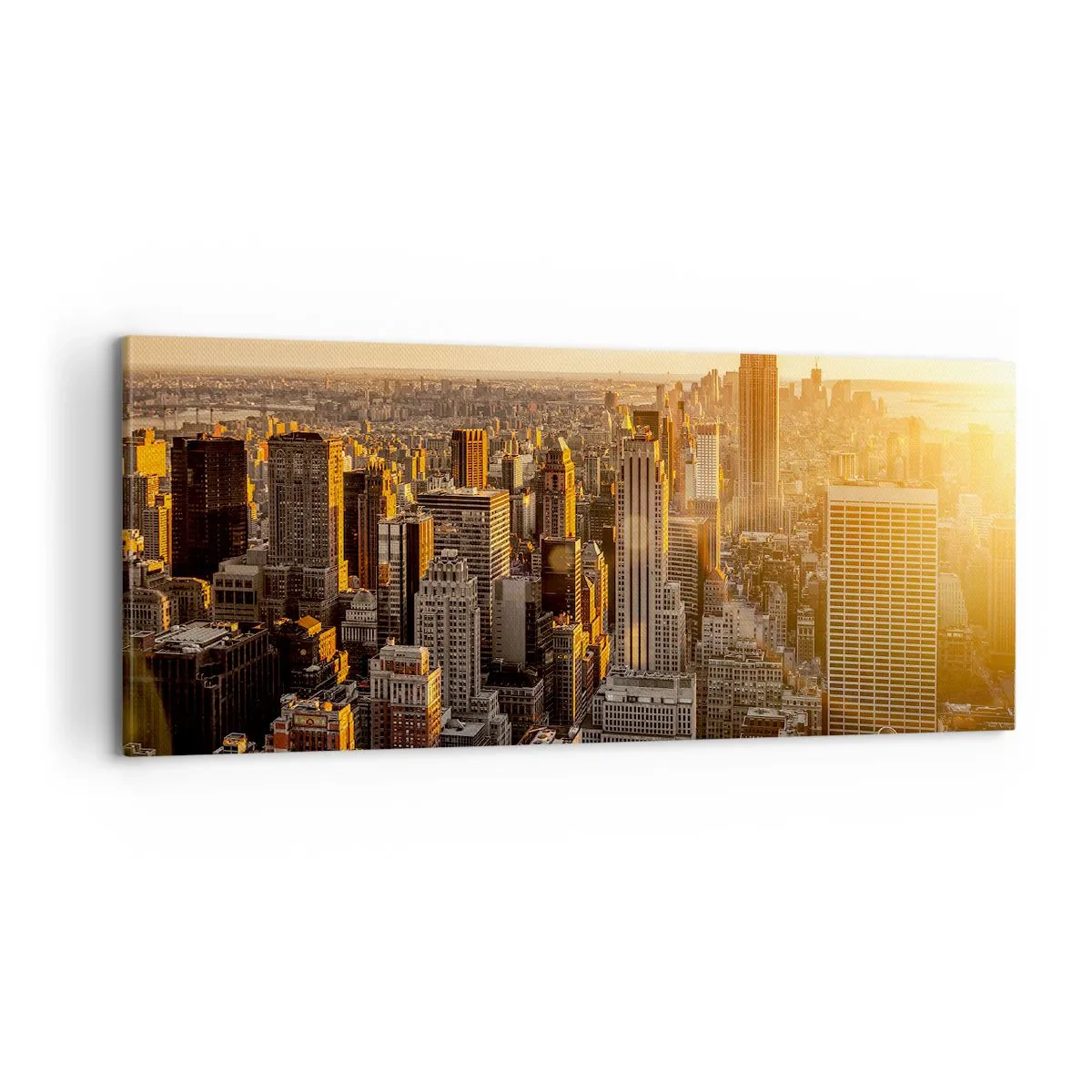 Impression sur toile - Image sur toile - Grandir au soleil - 100x40 cm