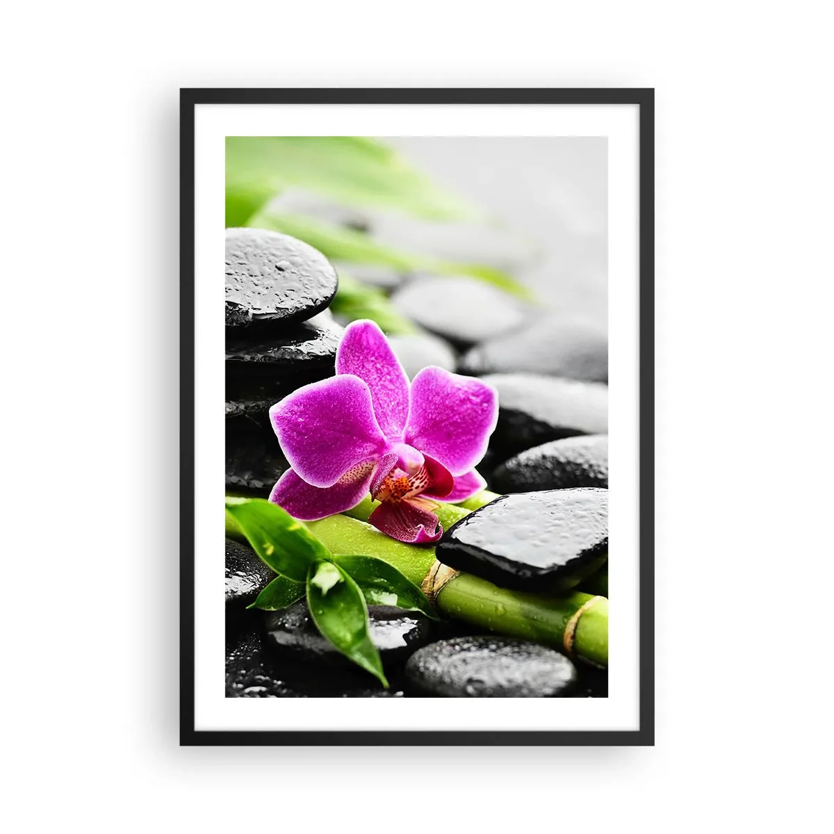 Affiche dans un cadre noir - Poster - Orchidée violette sur pierres humides et feuilles vertes - 50x70cm - Dans un équilibre de calme - Décoration murale moderne pour le salon et la chambre ARTTOR
