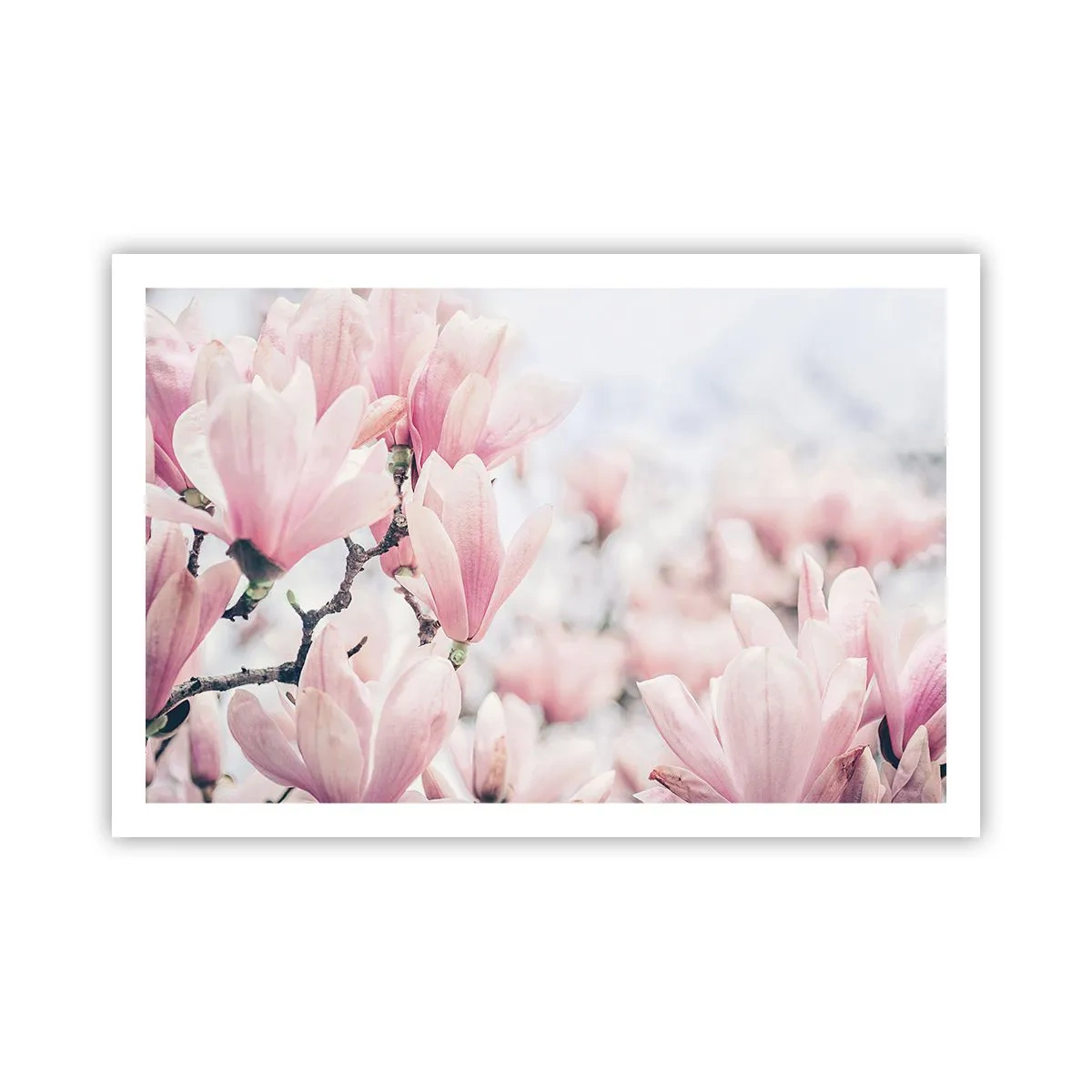 Affiche - Poster - Idéal de la subtilité - 91x61 cm