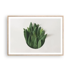 Affiche dans un chêne clair - Poster - Curiosité sans retenue - 100x70 cm