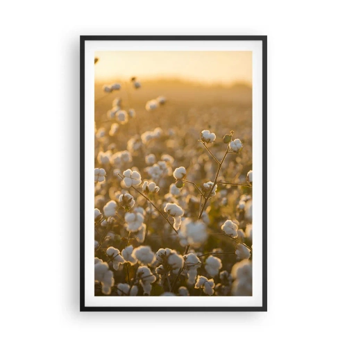 Affiche dans un cadre noir - Poster - Champ moelleux - 61x91 cm
