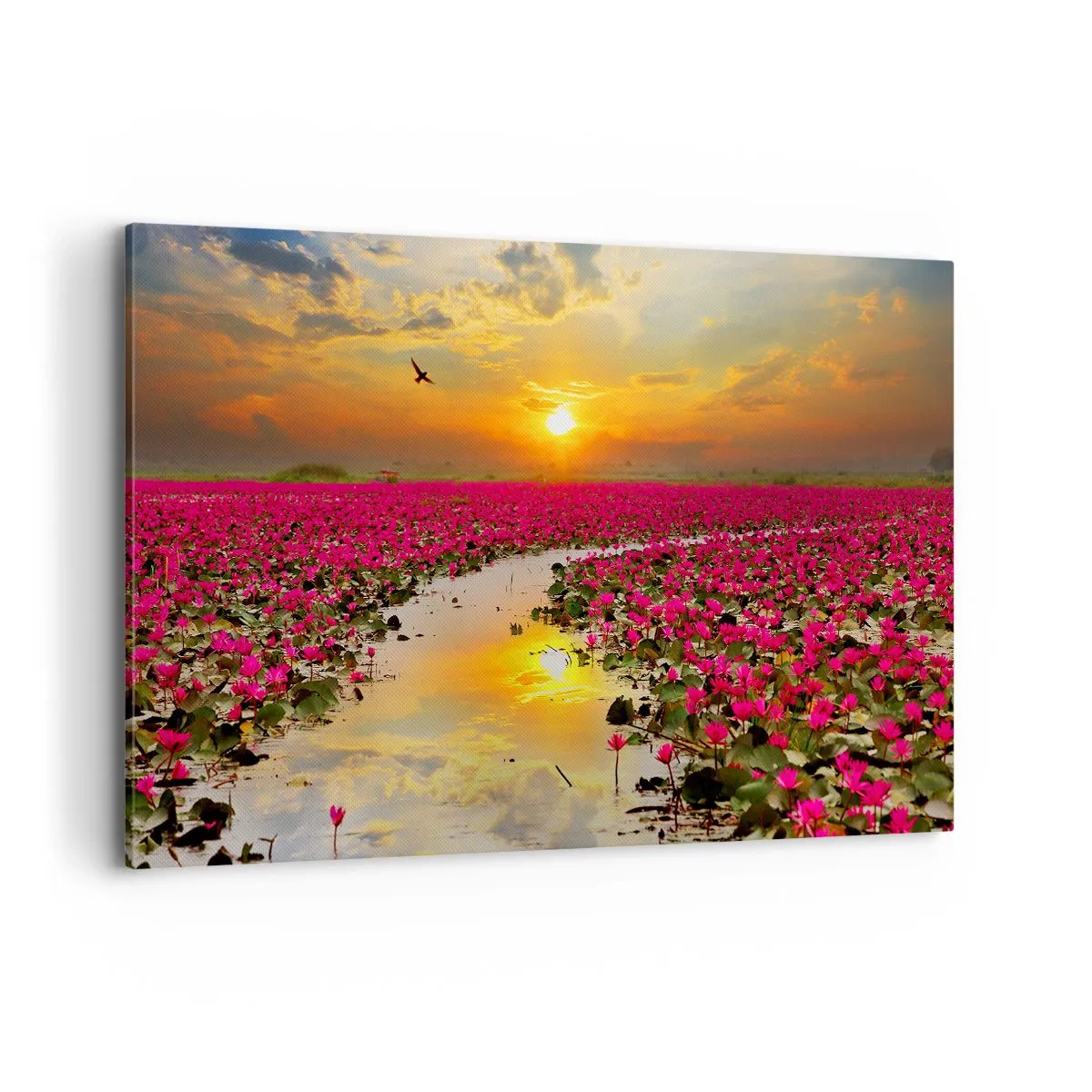 Impression sur toile - Image sur toile - Un champ de nénuphars roses au coucher du soleil - 120x80cm - La vie secrète du lac - Décoration murale moderne pour le salon et la chambre ARTTOR