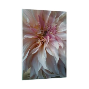 Impression sur verre - Image sur verre - Gros plan d'une fleur rose et crème avec des gouttes d'eau - 50x70cm - Fraîcheur fleurissante - Décoration murale moderne pour le salon et la chambre ARTTOR
