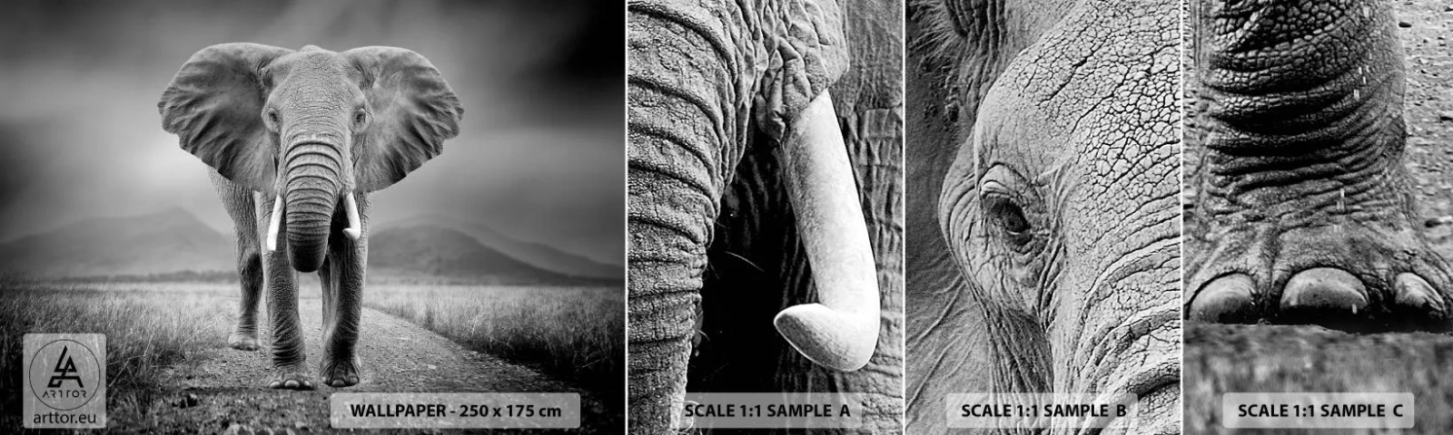 Échantillon De Papier Peint Standard Eco - Les hôtes vous saluent - Éléphant, Animaux, Paysage - 100x30 cm