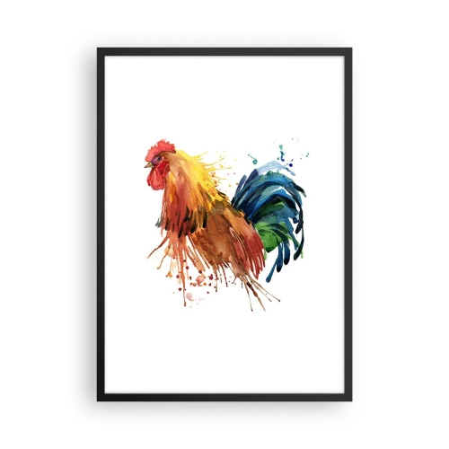 Affiche dans un cadre noir - Poster - Coq coloré dans un style aquarelle - 50x70cm - Robe royale, fierté royale - Décoration murale moderne pour le salon et la chambre ARTTOR